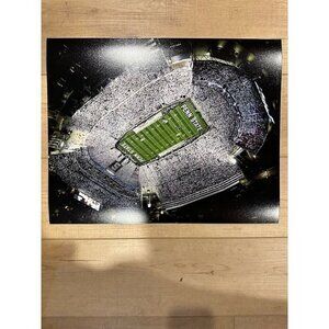 Penn State Nittany Lions White Out Ariel View 16x20 Photo Beaver Stadium